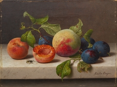 Still-life with Fruit by Emilie Preyer