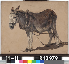 Studie van een ezel by Johannes Hubertus Leonardus de Haas