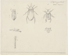 Studies van watertorren by Unknown Artist