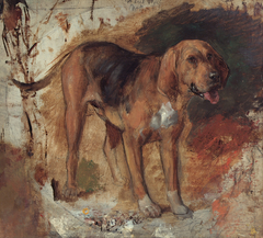 Study of a bloodhound by William Holman Hunt
