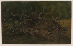 Study of a Tree Stump by Vilhelm Petersen