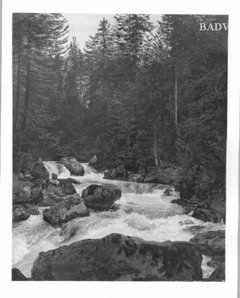 Torrent in mountain - forest by Ferdinand Georg Waldmüller