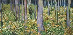 Undergrowth with walking Couple