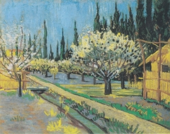 Flowering orchard, surrounded by cypress