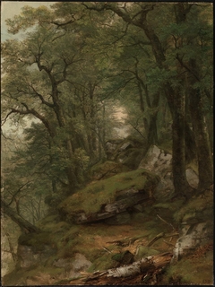 Woodland Interior