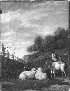 Young shepherd with his flock