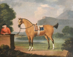 A Dun Horse, with its Groom