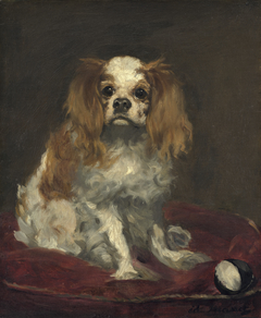 A King Charles Spaniel by Edouard Manet