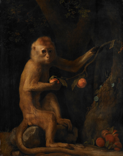 A Monkey by George Stubbs