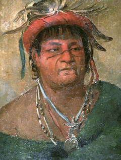 Aúh-ka-nah-paw-wáh, Earth Standing, an Old and Valiant Warrior by George Catlin
