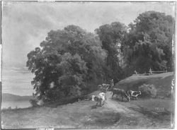 Baumlandschaft mit Kühen