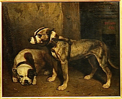 Bouledogue et Terrier écossais