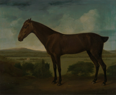 Brown Horse in a Hilly Landscape by Anonymous