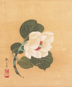 Camellia japonica by Nonoyama Kōzan