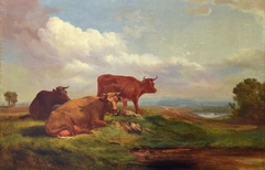 Cows in Pasture by Francis Devlan