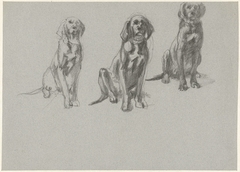 Drie studies van een zittende hond by Guillaume Anne van der Brugghen
