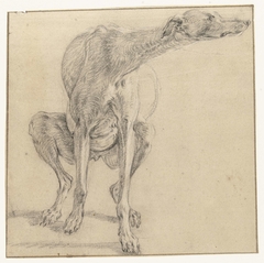 Een zittende hond, zich ontlastend, van voren gezien by Frans Snijders