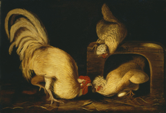 Farmyard Fowls by John James Audubon