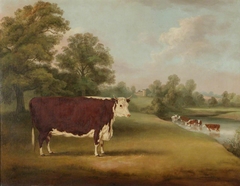 Hereford Cow near Cronkhill Farmhouse by William Henry Davis