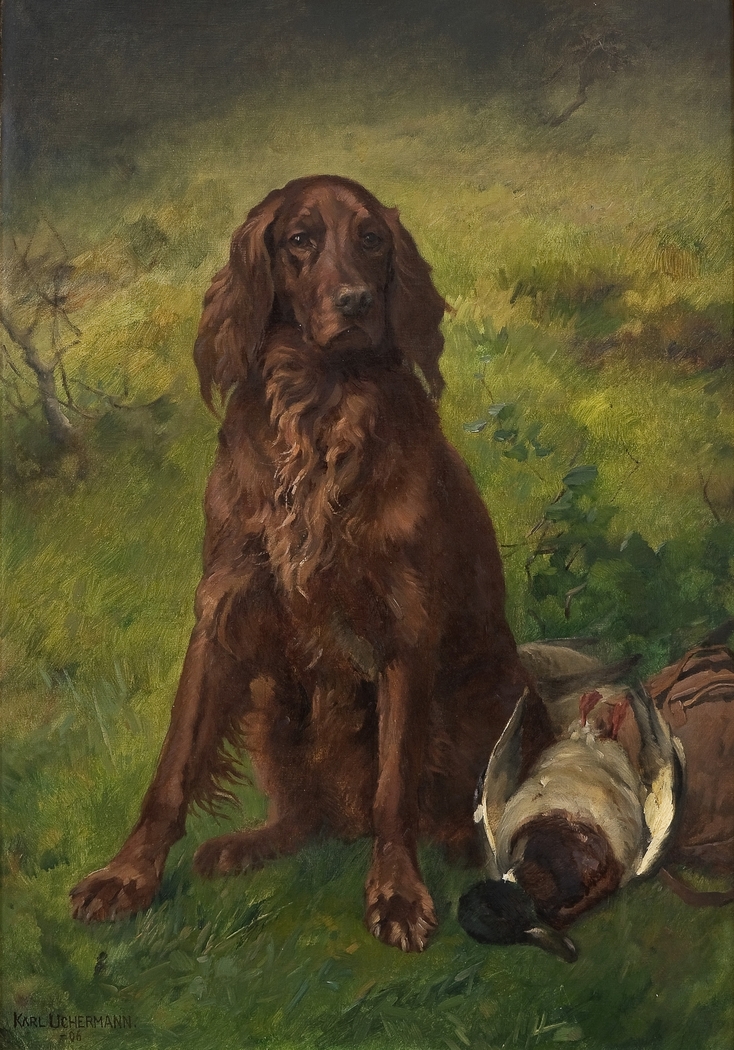 Irish Setter with a Duck