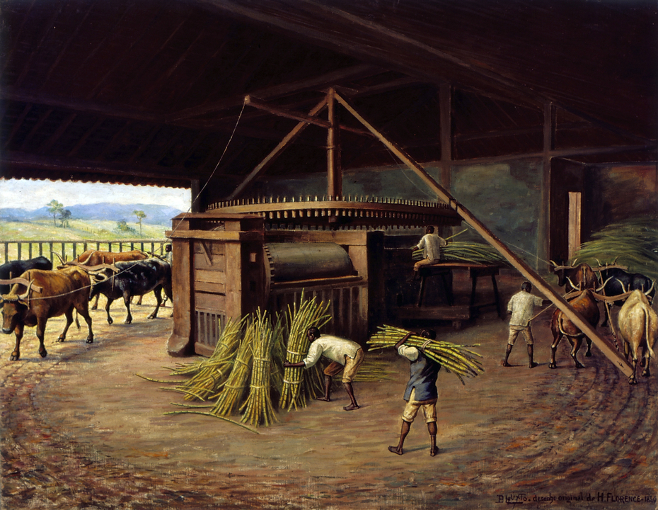 Moagem de Cana - Fazenda Cachoeira - Campinas, 1830