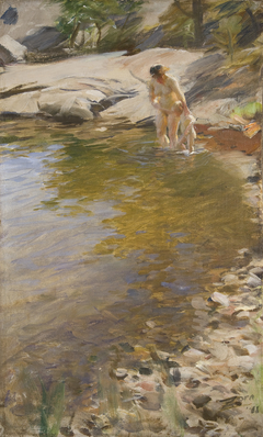 Morning Toilet by Anders Zorn