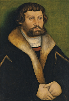 Portrait of a bearded Man by Hans Cranach