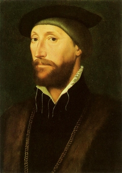 Portrait of Sir Thomas Le Strange by Hans Holbein the Younger