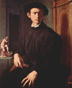 Ritratto di giovane con liuto by Agnolo Bronzino