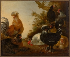 Rooster with Chickens by Gijsbert d'Hondecoeter