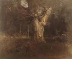 Royal Beech in New Forest, Lyndhurst by George Inness