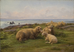 Sheep by the Sea by Rosa Bonheur