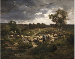 Sheep by Charles Jacque