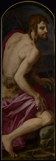St. John the Baptist by Agnolo Bronzino
