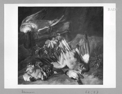 Still - Life with dead birds by Franz Werner Tamm