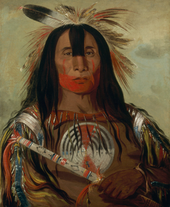 Stu-mick-o-súcks, Buffalo Bull's Back Fat, Head Chief, Blood Tribe by George Catlin