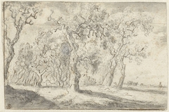 Studie van een groep bomen by Salomon van Ruysdael