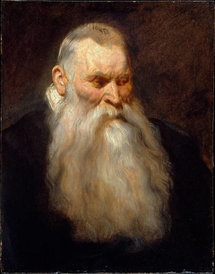Study Head of an Old Man with a White Beard