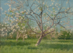 Study of Blooming Trees in an Orchard by László Mednyánszky