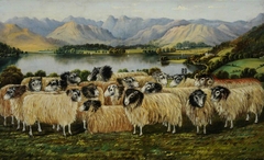 View of Windermere and Langdale Pikes from Low Wood, with a Flock of Seventeen Herdwick Sheep