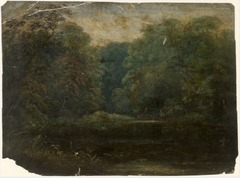 Woodland Pond by William Howis senior