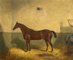 A Brown Horse in a Stable by Richard Whitford