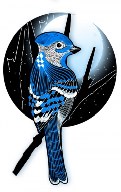 Blue Bird by Süyümbike Güvenç