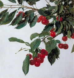 Cherries by Henri Fantin-Latour