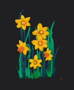 Daffodils by dajo