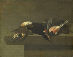 Dead Birds by Jan Vonck