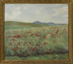 Field of poppies by Henryk Weyssenhoff