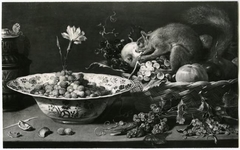 Fruits, Carnation and Squirrel