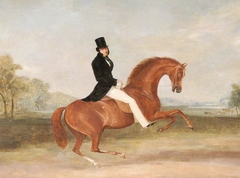 Henry Paget, 3rd Earl of Uxbridge, later 2nd Marquess of Anglesey (1797-1869) by William Henry Davis