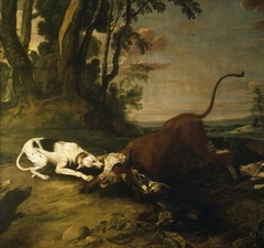 Hounds attacking a Bull